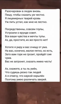 О лицемерии и глупости | Сильные цитаты, Лицемер цитаты, Мысли картинки