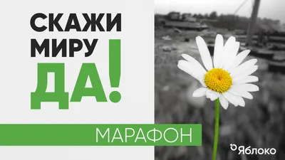 Яблоко» проведет концерт и марафон «Скажи Миру Да!» | Партия ЯБЛОКО картинки