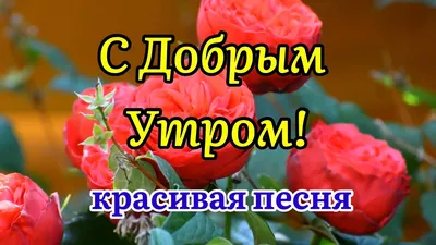 Видеооткрытка С Добрым Утром! Песня За Душу Берет! Послушайте! Трогательные  Стихи! Музыкальная Открытка Пожелание картинки