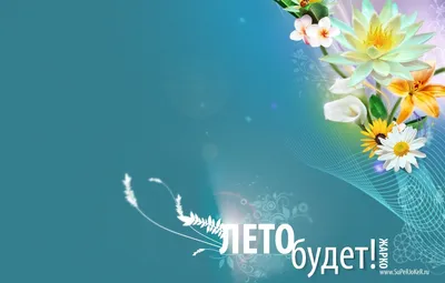 Обои лето, линии, цветы, обещания, сети, надежда, текст картинки на рабочий  стол, раздел абстракции - скачать картинки