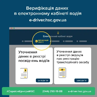 МВД рассказало что делать, если водительское удостоверение или техпаспорт  не отображаются в приложении «Дія» (а также пообещало отображать изъятие  прав в онлайне) - ITC.ua картинки