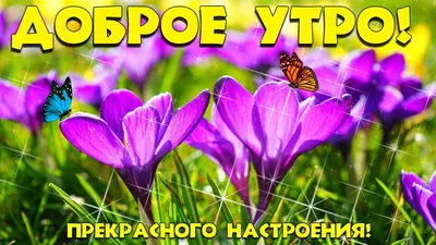 Доброго субботнего утра, хорошего дня! Доброе утро с пожеланием добра,  мира, отличного настроения! - YouTube картинки