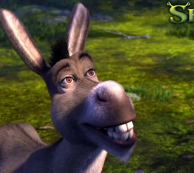 Скачать обои осел, шрек, donkey, shrek разрешение 960x854 #5919 картинки