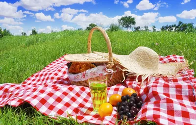 Обои лето, поляна, фрукты, пикник, корзинка, Picnic Day картинки на рабочий  стол, раздел настроения - скачать картинки