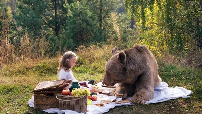 Картинка девочка, медведь, пикник, природа 1366x768 скачать обои на рабочий  стол бесплатно, фото 213822 картинки