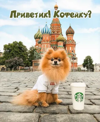 Приветик! Кофейку?. картинки