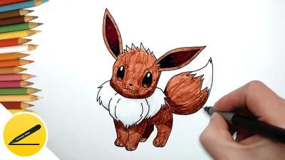 How to Draw Pokemon Eevee ☆ Draw Pokemon step by step - YouTube картинки