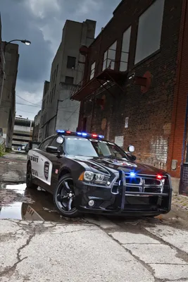 Скачать обои и картинки полицейская машина, переулок, здания, dodge,  charger, pursuit для рабочего стола в разрешении 1920x2880 картинки