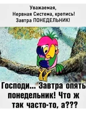 ПОНЕДЕЛЬНИК! | Cool words, Funny, Funny photos картинки