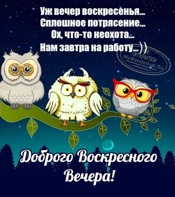 Прикольные картинки добрый вечер воскресенья - 84 фото картинки