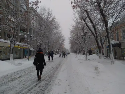 Саратов | Последний день января в Саратове пройдет со снегопадом -  БезФормата картинки