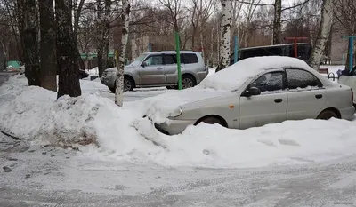 В последний день января в Рязани потеплеет и усилится ветер » Новости Рязани картинки