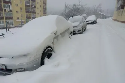 Брянских водителей предупредили о снежных заносах в последний день января |  АВТО: Дороги | АВТОМОБИЛИ | АиФ Брянск картинки