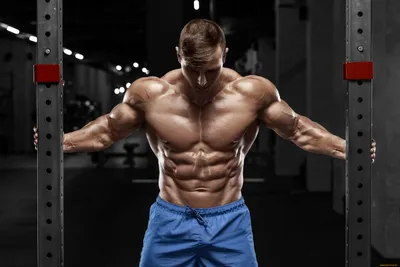 Обои Спорт Body Building, обои для рабочего стола, фотографии спорт, body  building, бодибилдинг, мужчины, рельеф, пресс, мышцы Обои для рабочего  стола, скачать обои картинки заставки на рабочий стол. картинки