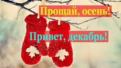 Привет Декабрь. Красивая Музыкальная Видео Открытка. - YouTube картинки