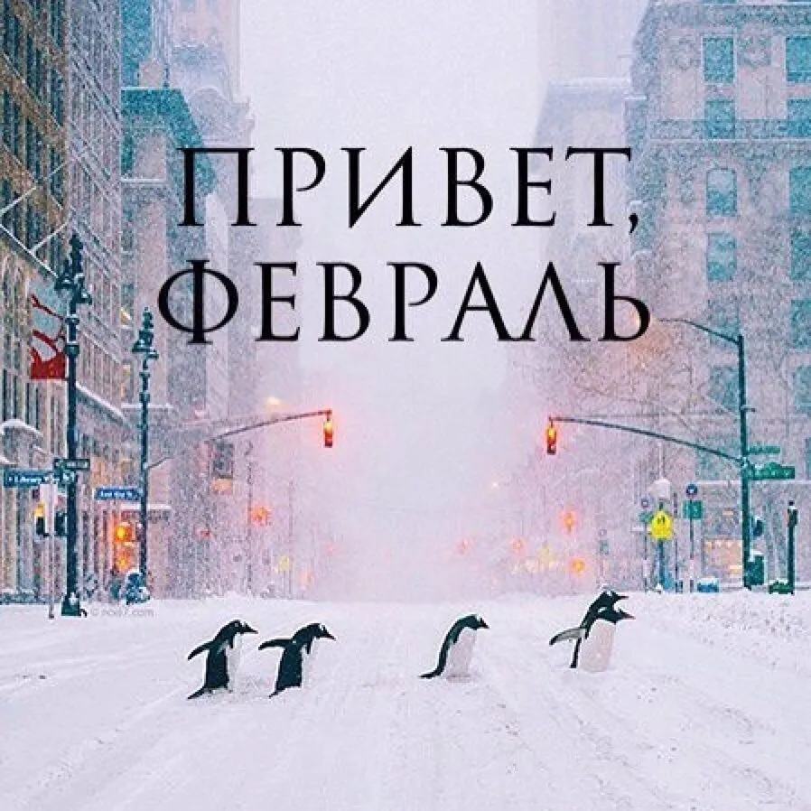 СЛОВОСОЧЕТАНИЕ ФЕВРАЛЬ