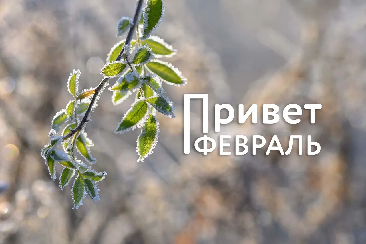 СЛОВОСОЧЕТАНИЕ ФЕВРАЛЬ