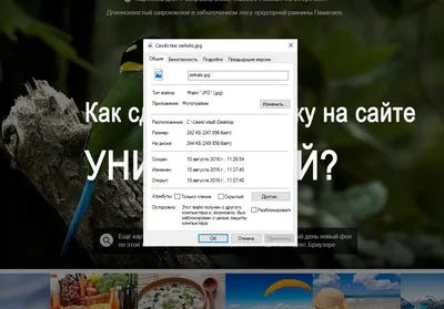 Как сделать картинку для сайта уникальной? | Влад-А картинки