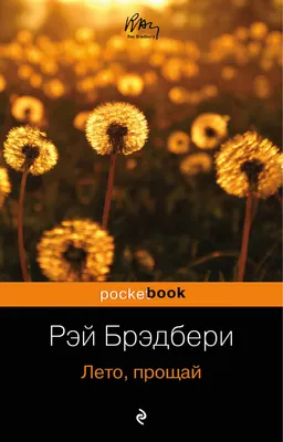 Лето, прощай, Рэй Брэдбери – скачать книгу fb2, epub, pdf на Литрес картинки