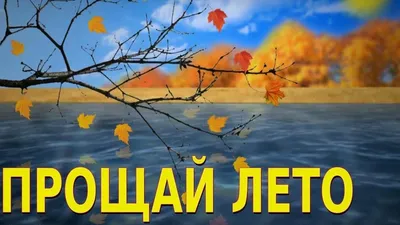 Выставка рисунков «Прощай лето» 2022, Михайловский район — дата и место  проведения, программа мероприятия. картинки