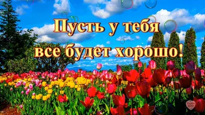 ПУСТЬ У ТЕБЯ ВСЕ БУДЕТ ХОРОШО!💎💌🌺🌺🌺 - YouTube картинки