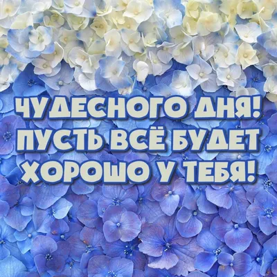 Картинки с надписями. Чудесного дня! Пусть всё будет хорошо у тебя!. картинки