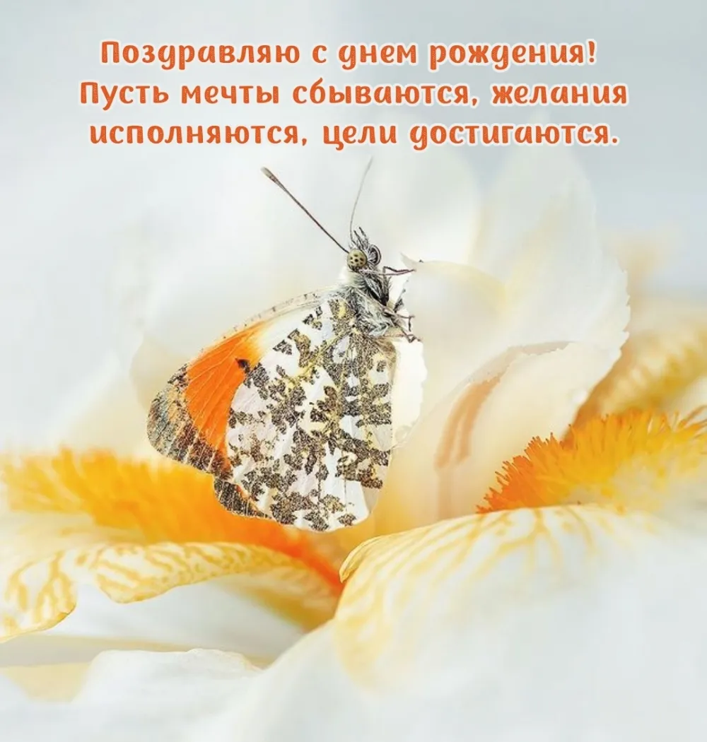Открытка пусть мечты сбываются мужчине