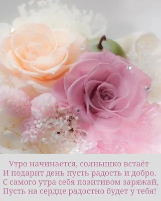 Доброе утро! Радостного дня! | Rose, How to preserve flowers, Beautiful  roses картинки