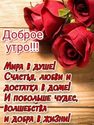 Идеи на тему «Доброе утро.. Солнечный день.» (200) | доброе утро, открытки,  утренние цитаты картинки