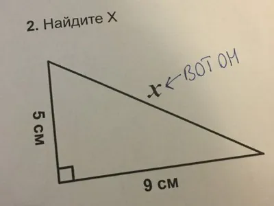 Ржачные картинки и забавные фото | Ололо - смешные картинки и веселые  истории картинки