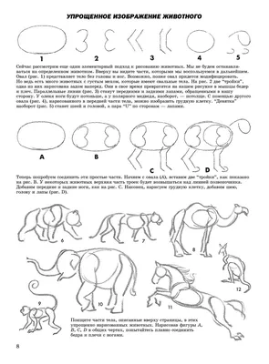 Как рисовать животных» Джек Хамм - купить книгу «Как рисовать животных» в  Минске — Издательство Попурри на OZ.by картинки