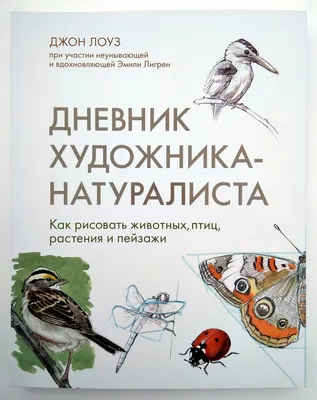 Дневник художника-натуралиста. Как рисовать животных, птиц, растения и  пейзажи | Евгения Астрова | Дзен картинки