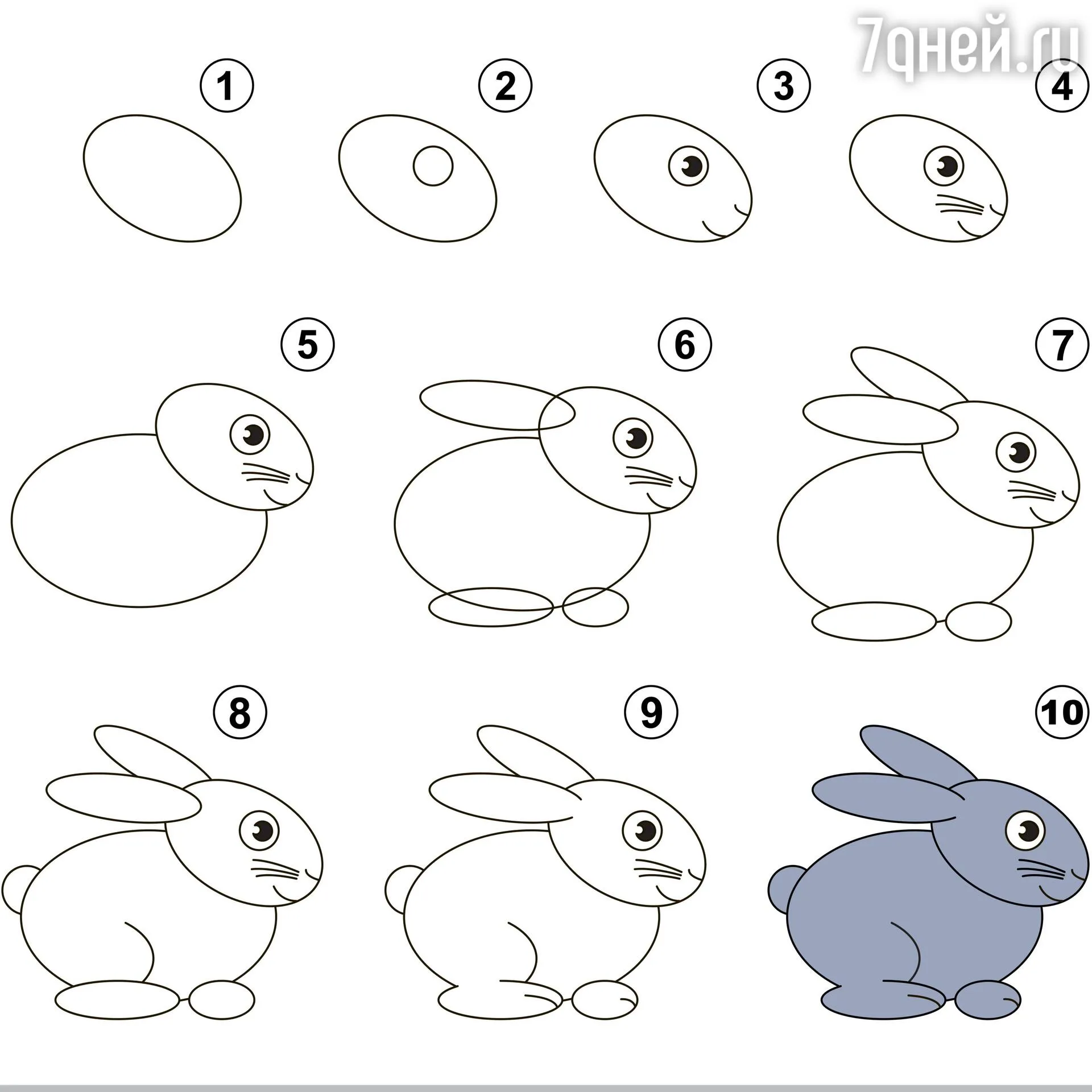 Как нарисовать кролик из овалов