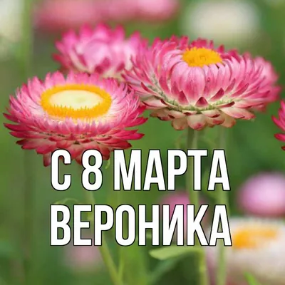 Открытка с именем вероника С 8 марта Цветы. Открытки на каждый день с  именами и пожеланиями. картинки