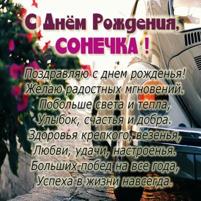 С днем рождения сонечка картинки