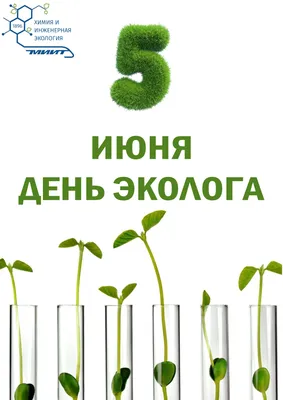 День эколога!. Новости. Кафедра «Химия и инженерная экология» картинки