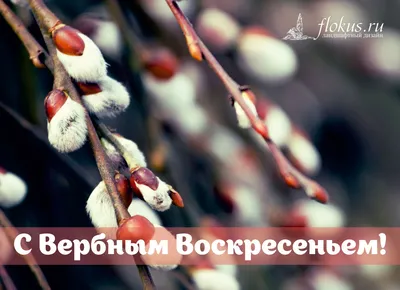 Поздравляем с Вербным Воскресеньем! 2015 | flokus.ru - ландшафтный дизайн картинки