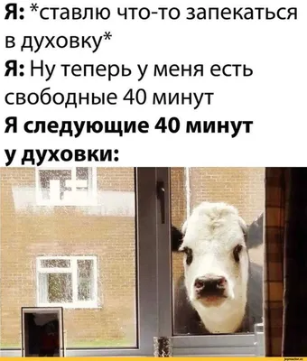 Я: *ставлю что-то запекаться в духовку* Я: Ну теперь у меня есть свободные  40 минут Я следующие 40 / духовка :: свободное время :: готовка / смешные  картинки и другие приколы: комиксы, картинки