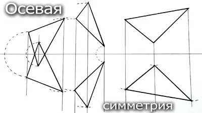 Осевая симметрия, как начертить треугольники симметрично - YouTube картинки