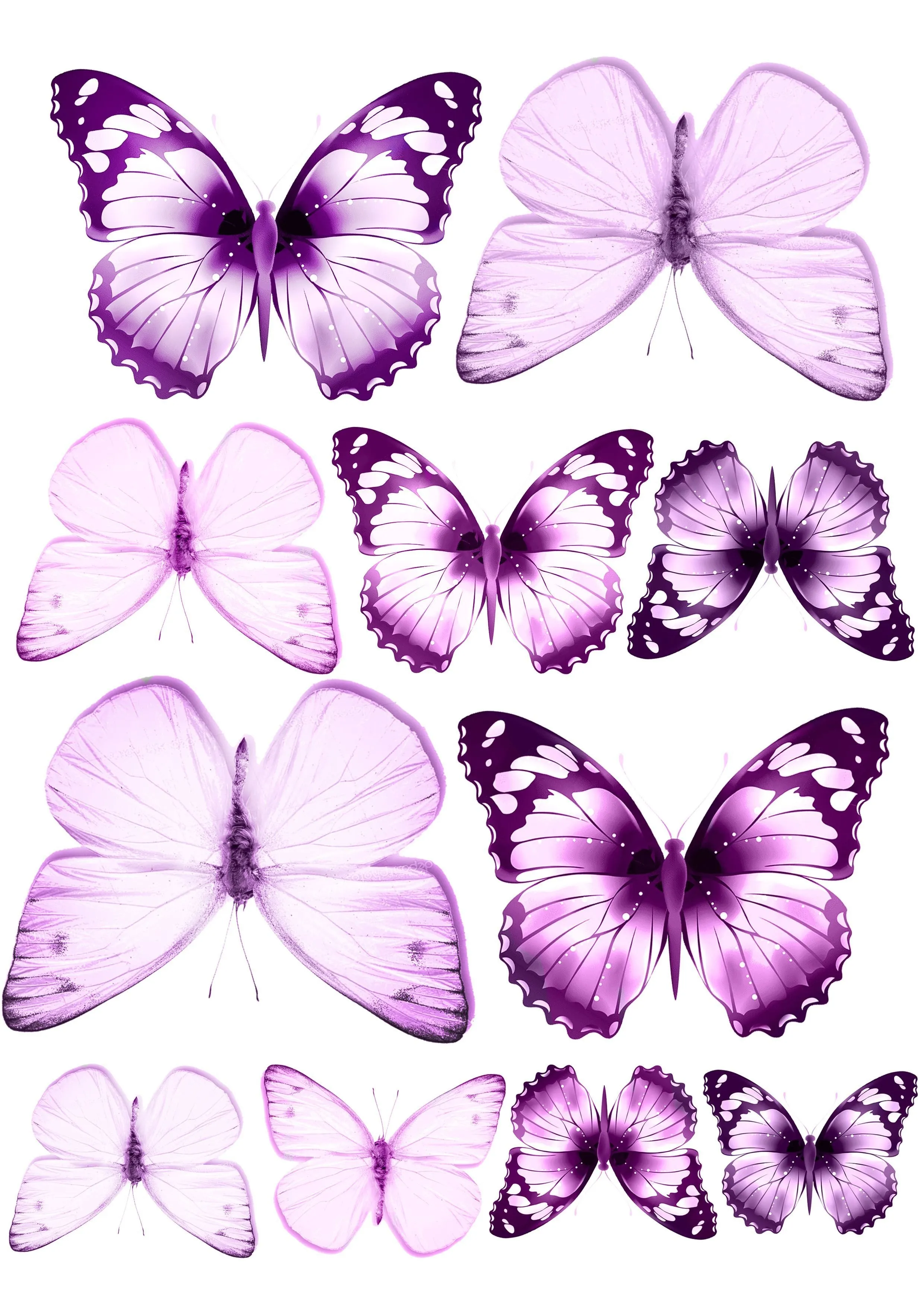 Сиреневые бабочки картинки на торт