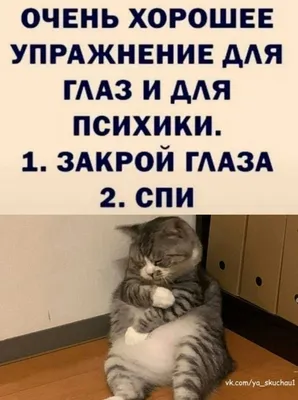 Pin by Angelika Shishkina on Humor | Russian humor, Funny quotes, Funny картинки