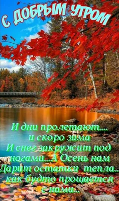 Пин от пользователя Tetiana K🌺🌸🌺 на доске «Доброго времени суток» |  Доброе утро, Смешные детские картинки, Веселые картинки картинки