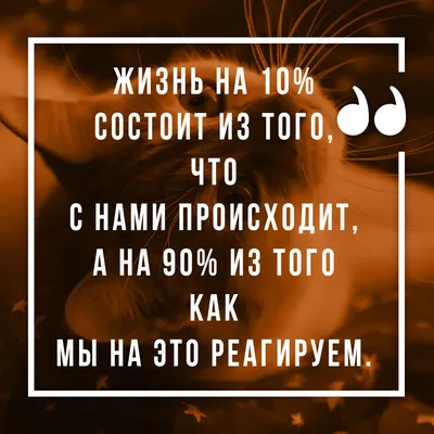 Цитата со смыслом о жизни - скачать картинку для Инстаграм картинки