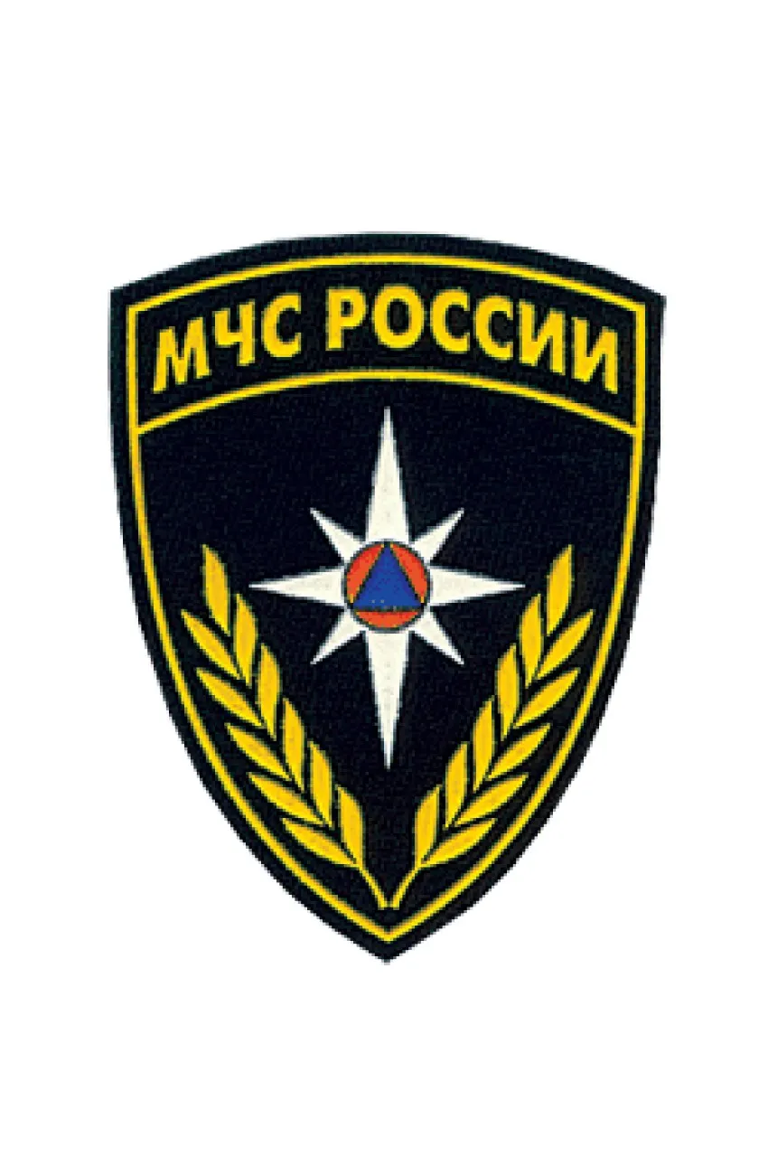 Мчс Значок Фото