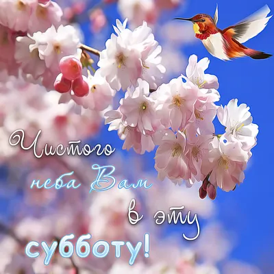 💗 Красивая открытка счастливой субботы и выходных для друзей и коллег!  скачать бесплатно | сегодня суббота отдыхаем | открытка, картинка 123ot картинки