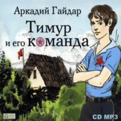 Аудиокнига Тимур и его команда, Аркадий Гайдар – слушать онлайн или скачать  mp3 на Литрес картинки