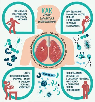 ПРО ТУБЕРКУЛЁЗ картинки