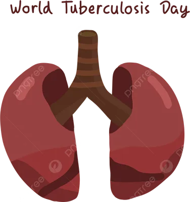 картинка всемирного дня борьбы с туберкулезом PNG , туберкулез,  туберкулезный день, Всемирный день борьбы с туберкулезом PNG картинки и пнг  PSD рисунок для бесплатной загрузки картинки