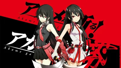 интересные картинки арты - убийца Акаме | Akame ga matar, Akame ga,  Recomendaciones de anime картинки