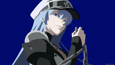 Обои Аниме Akame ga Kill, обои для рабочего стола, фотографии аниме, akame  ga kill, взгляд, девушка, вектор, эсдес, убийца, акаме Обои для рабочего  стола, скачать обои картинки заставки на рабочий стол. картинки